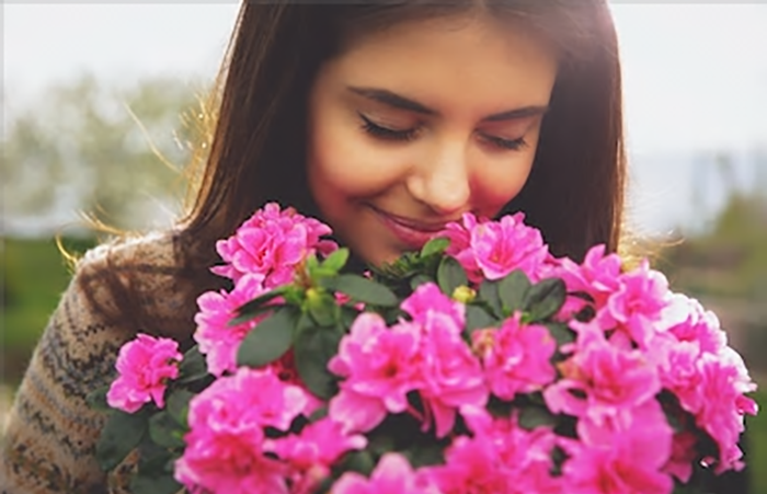 Fragrance Creation